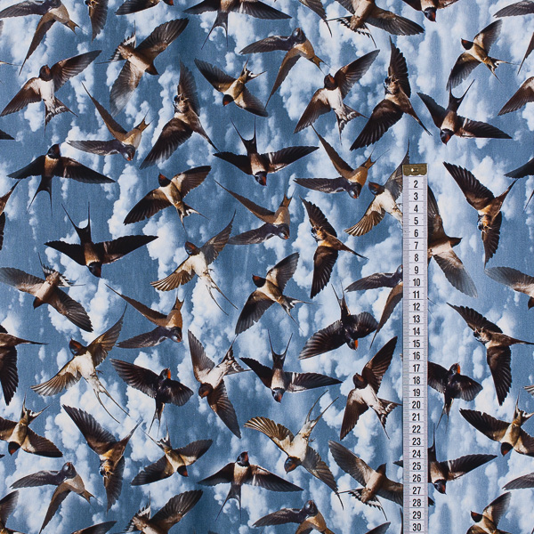 Ткань Трикотаж - Птички QT4 2